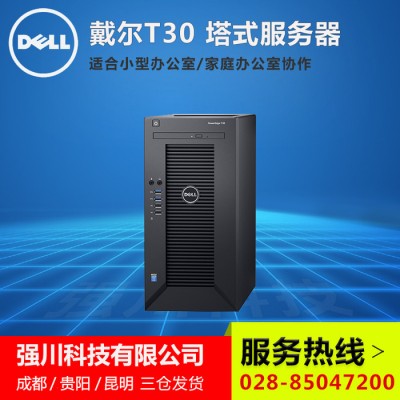 dell/戴尔 T30 办公塔式服务器小型台式机 ERP存储专用 企业优选服务器价格便宜 T30服务器