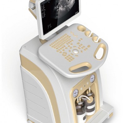 世帝SD-2010A     全数字超声引导人流手术系统    厂家直供可视人流仪   人流机   优质服务  品质保证