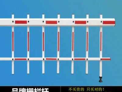 车牌识别一体机  停车场管理软件 智能道闸图2