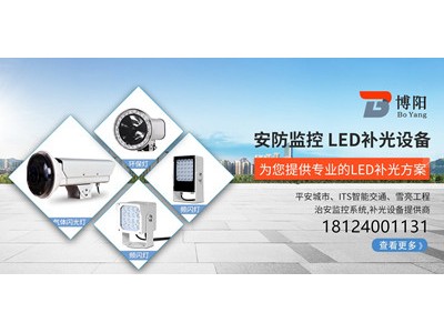 三合一环保闪光灯BOY-CXBG-PBBS-300FC图2