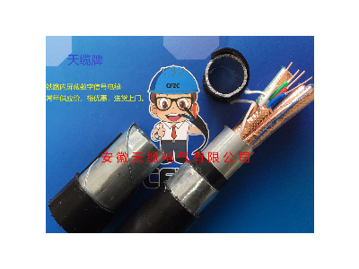 HEYPFPLT23长途对称通信电缆图2