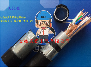 SPTYWPL23-8B内屏蔽数字电缆B型/安徽天缆电气