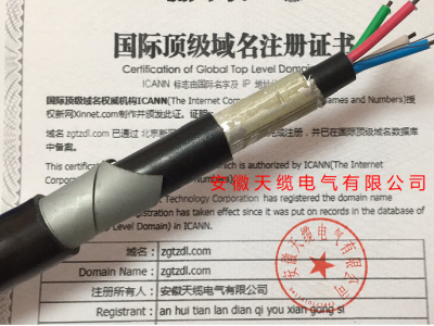 内屏蔽数字信号电缆SPTYWPL23-24B安徽天缆电气供应图3