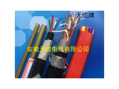 SPTYWPL23 8B-48A芯内屏蔽铁路数字信号电缆图2