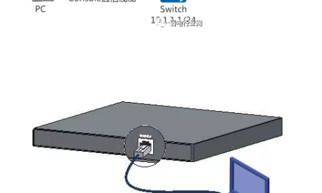 如何使用secure CRT登陆交换机与服务器？