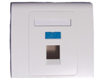 超五类系统 光纤面板图2