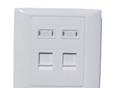 超五类系统 光纤面板图3