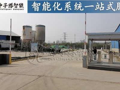 健康码+人体测温翼闸图2