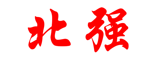 上海北强电子有限公司